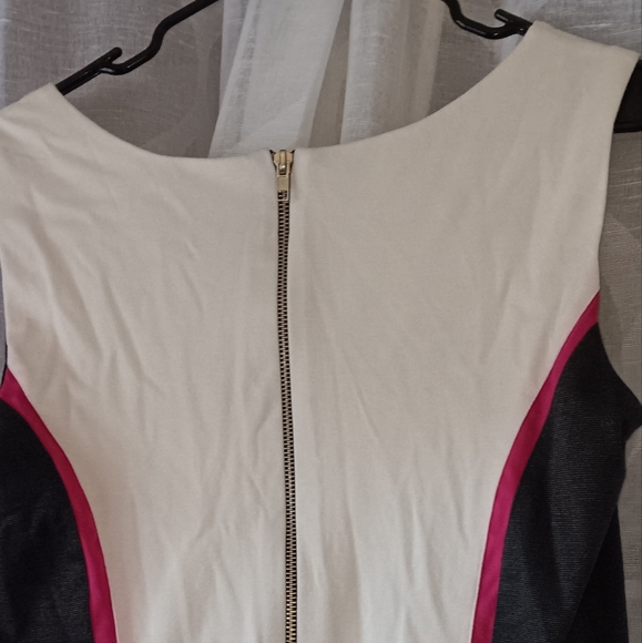 Colorblock Dress - Picture 3 of 3